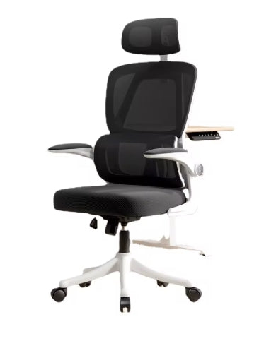 Comfortable Desk Chair for Students with Back Support, Long Sitting Study Chair